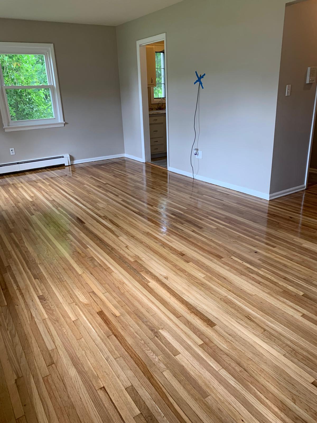 Proyecto de remodelación 59